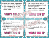 What Am I? Important Things in Life Science Game {Digital & Printable} - 5th